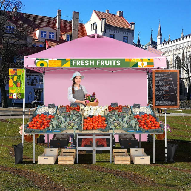10' x 10' Commercial Pop Up Canopy Tent with Sidewalls, Roller Bag & Hanging Bars, Portable Instant Market Tent for Outdoor Events, Camping